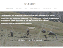 Tablet Screenshot of boarbichl.com